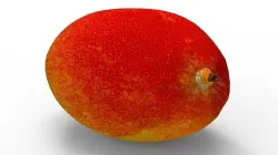 Mango 3D model