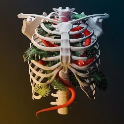 Ribcage snake 3D model