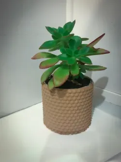 Round Flower Pot