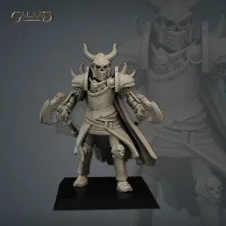 Skeleton warrior
