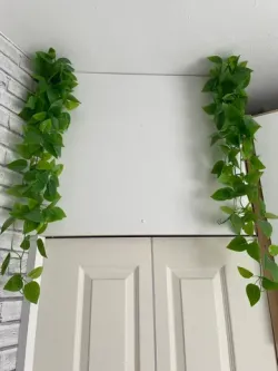 Vine Vase