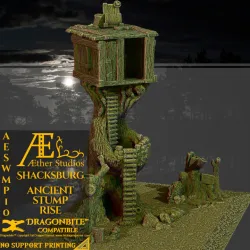 AESWMP10 – Shacksburg Ancient Stump Rise