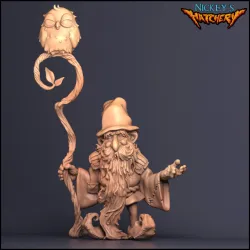 Bork, Gnome Druid | Forest of Laplandiya