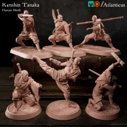 BUNDLE - Human Monk - Kenshin Tanaka