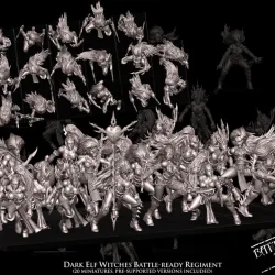 Dark Elf Witches Battle-Ready regiment (20 Dark Elves)
