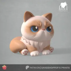 GRUMPY CAT #2