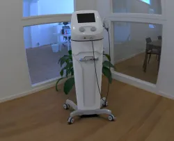 Pegasus (physiotherapy equipment)
