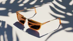 Sunglasses Model
