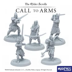 The Elder Scrolls: Call to Arms - Print at Home - Stormcloak Starter Set