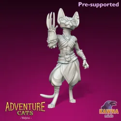 Volynx Monk Cat - Female