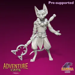 Volynx Monk Cat - Male