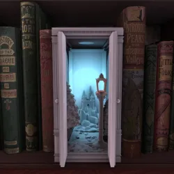 Wardrobe Booknook