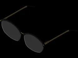 Wayfarer spectacles