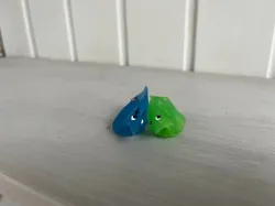 fish