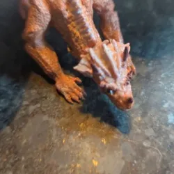 Adult Dragon-Copper