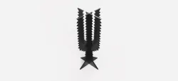 CACTUS 42 GIACOMO BALLA