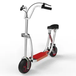 Custom eBike