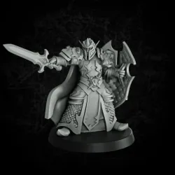 Elf paladin