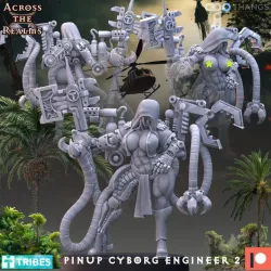 Pinup Cyborg Engineer 2
