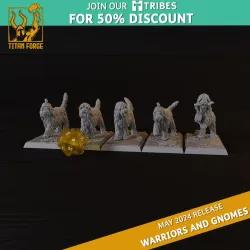 Warriors and Gnomes Gnome Good Boys