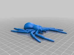 xl spider