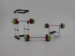 BENCH PRESS, SQUAT RACK AND OLYMPIC WEIGHT SET