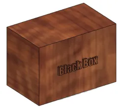 Black Box