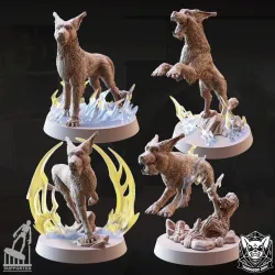Blink Dog Bundle