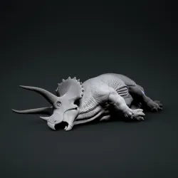 Dead Triceratops