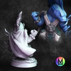 Kuo-Toa Wizard -  Zephyros the Kuo-Toa Sorcerer ( Kuo-Toa / Sahaguin )