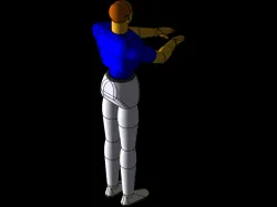 mannequin ergonomic