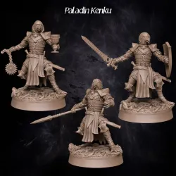 Paladin Kenku