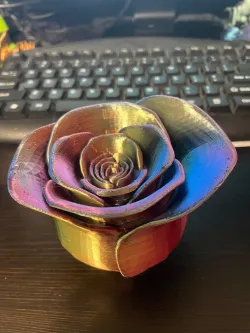 Rose Box Mk 2