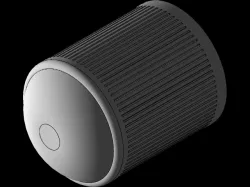 Schrader Valve Cap