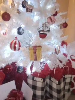 Secret Ornament Security Camera | WiFi Enabled