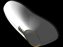 Shoe