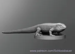 Tegu