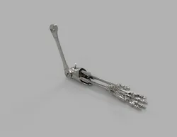 Terminator Forearm