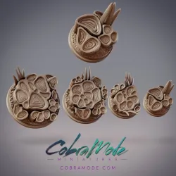 Vegetal Constructs Base Pack (4pcs)