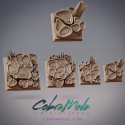 Vegetal Constructs Square Base Pack (4pcs)