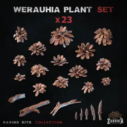 Werauhia Plant - Basing Bits (Plants)