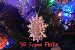 3D Snow Flake