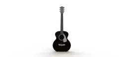 Acoustic Guitar