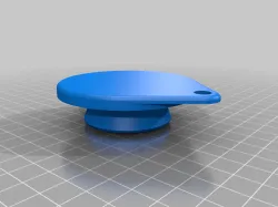 Bath plug