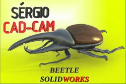 BEETLE BESOURO Sérgio CAD CAM