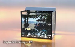 FISH TANK