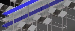 Grapes Manual Sorting & Packing Line