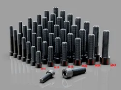M14~M24 Socket Head Cap Screw