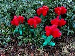 Minecraft Poppy Flower