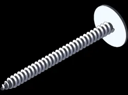 Raw Plug Screw 5x63